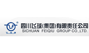 四川飛球(qiu)（集團）有限責任(ren)公司
