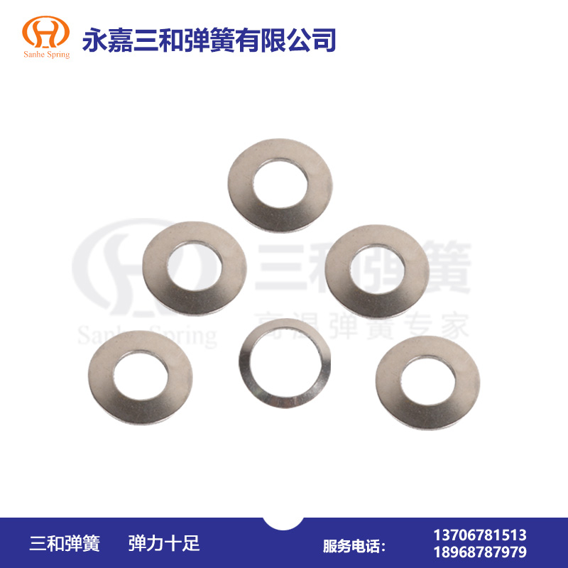 無磁(cí)預緊用碟(die)形彈簧廠(chǎng)